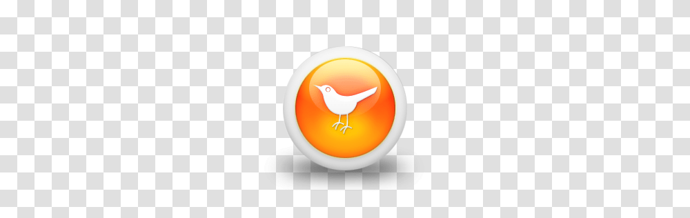 Animals, Bird, Sphere Transparent Png