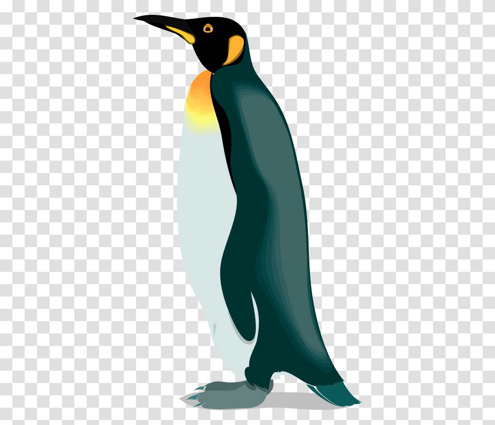 Animals, Bird, King Penguin Transparent Png