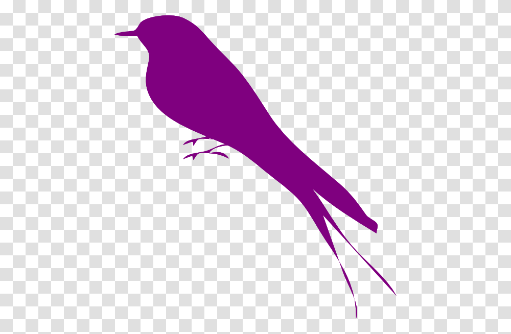 Animals, Bird, Logo, Trademark Transparent Png