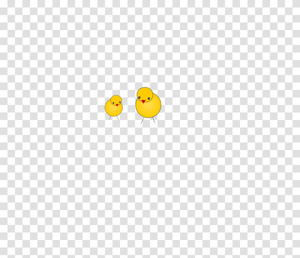 Animals, Bird, Pac Man Transparent Png