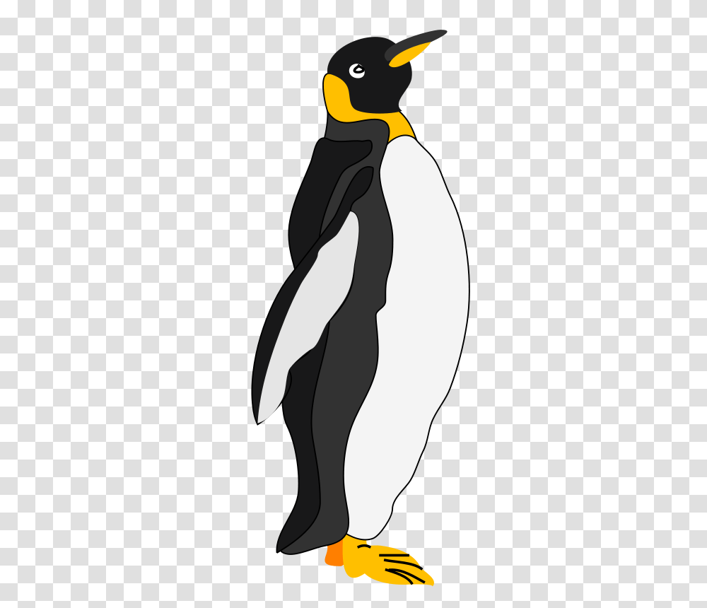 Animals, Bird, Penguin, King Penguin Transparent Png