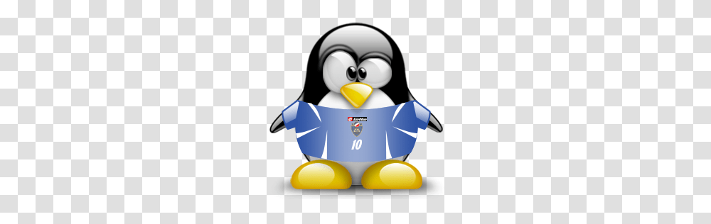 Animals, Bird, Penguin, Toy, Angry Birds Transparent Png