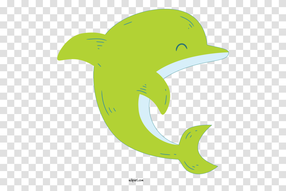 Animals Bottlenose Dolphin Fin Cartoon, Sea Life, Mammal, Text Transparent Png