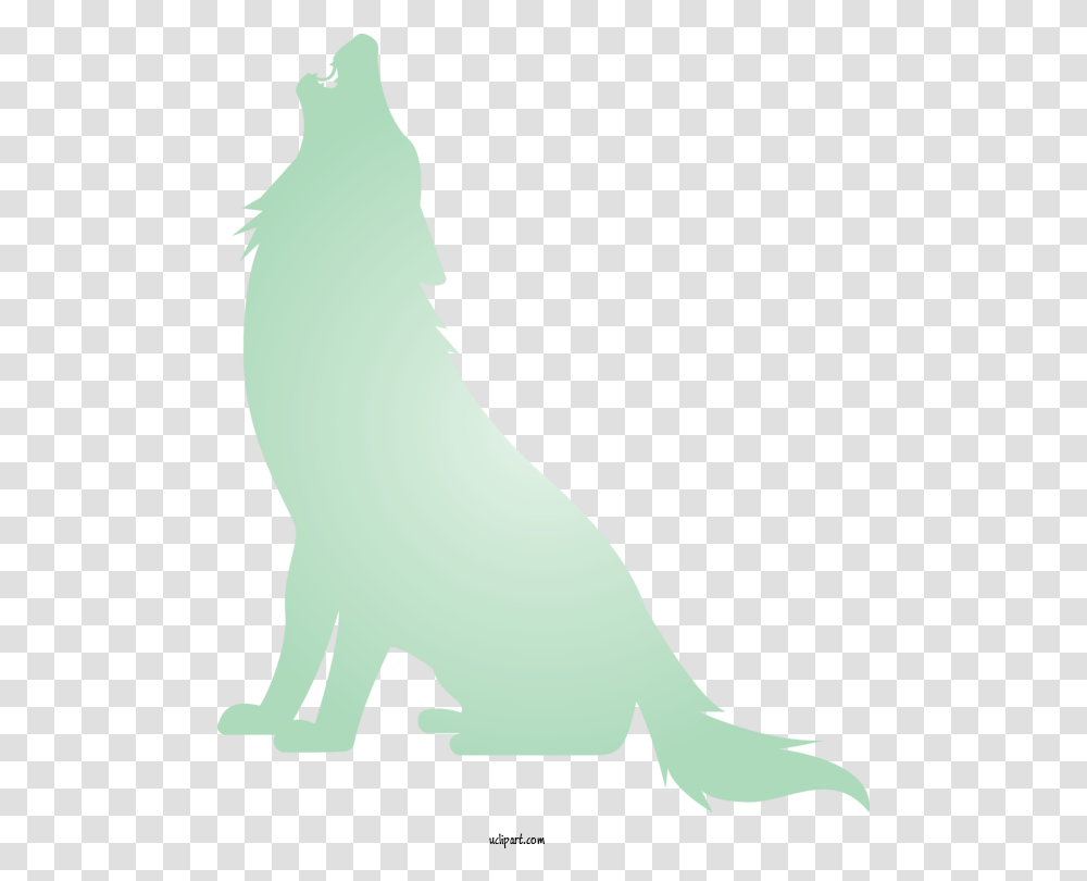 Animals California Sea Lion Green Fur Seal For Wolf Wolf Coyote, Mammal, Person, Human, Wildlife Transparent Png