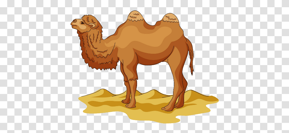 Animals, Camel, Mammal, Painting Transparent Png