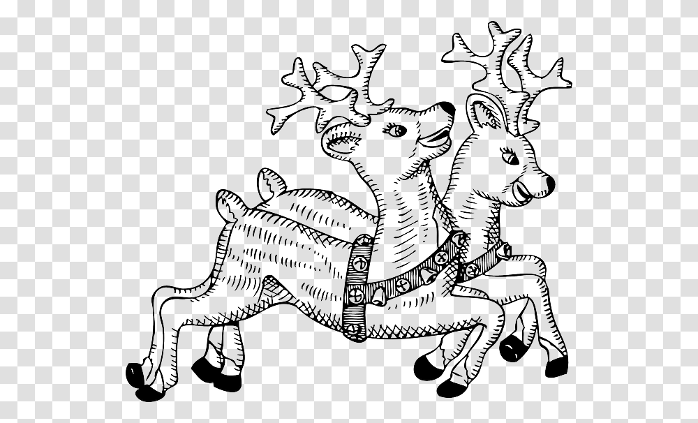 Animals Cartoon Deer Template Fly Flying Reindeers Clipart Black And White, Mammal, Horse, Wildlife, Drawing Transparent Png