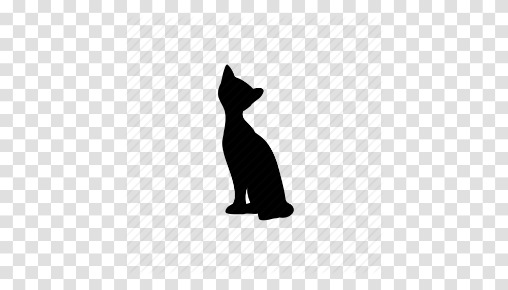 Animals Cat Icon, Silhouette, Hand Transparent Png