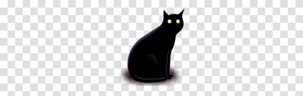 Animals, Cat, Pet, Mammal, Black Cat Transparent Png