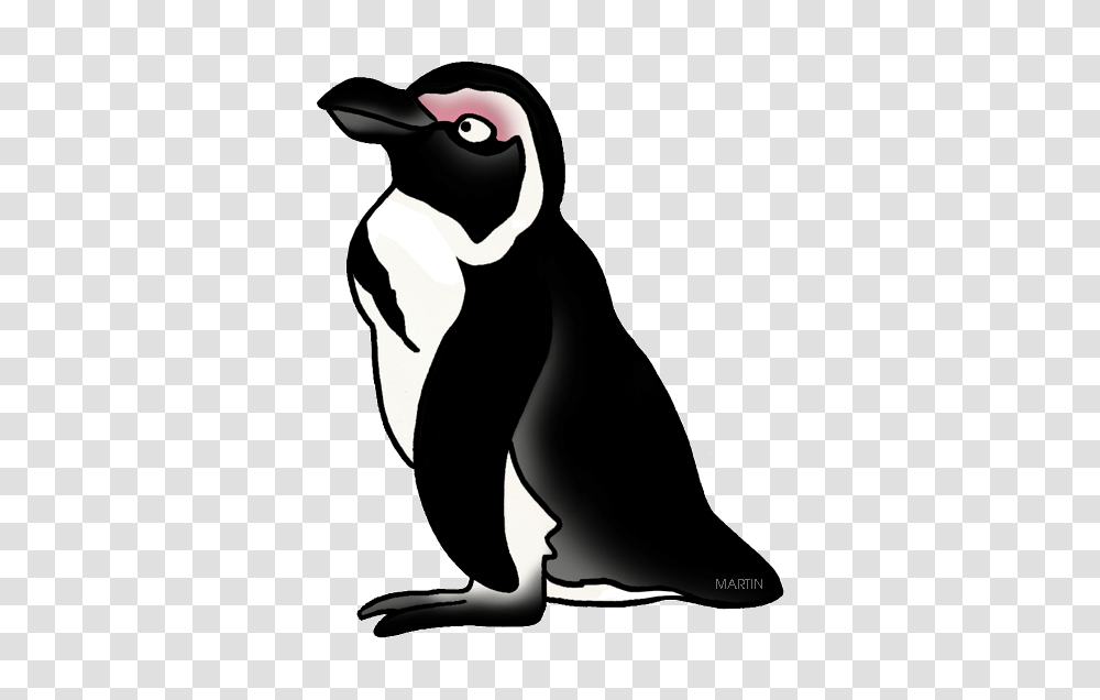 Animals Clip Art, Bird, Penguin, King Penguin Transparent Png