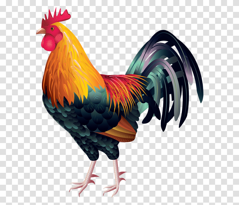 Animals Clip Art Rooster Rooster Vector, Chicken, Poultry, Fowl, Bird Transparent Png