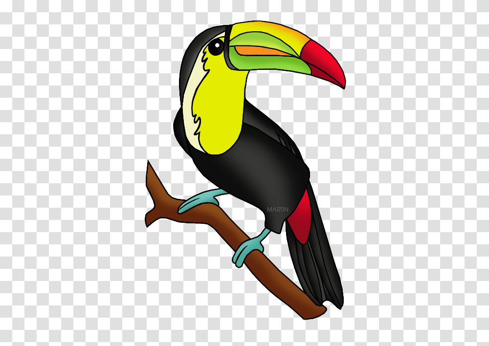 Animals Clip Art, Toucan, Bird, Beak, Blow Dryer Transparent Png