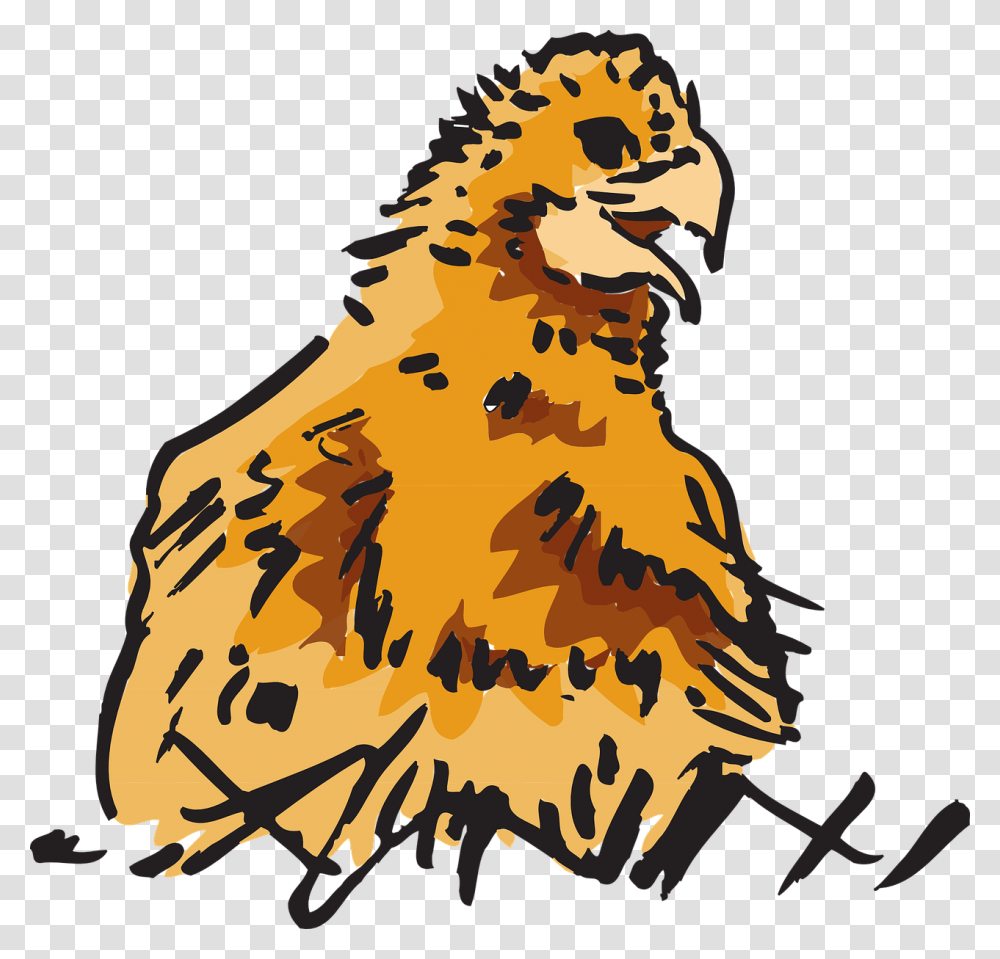 Animals Clipart, Hen, Chicken, Poultry, Fowl Transparent Png