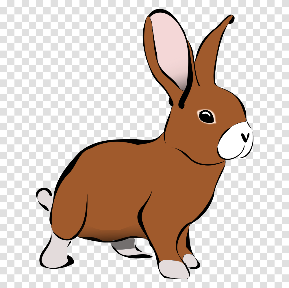 Animals Clipart Rabbit Background Rabbit Clip Art, Mammal, Rodent, Bunny, Hare Transparent Png