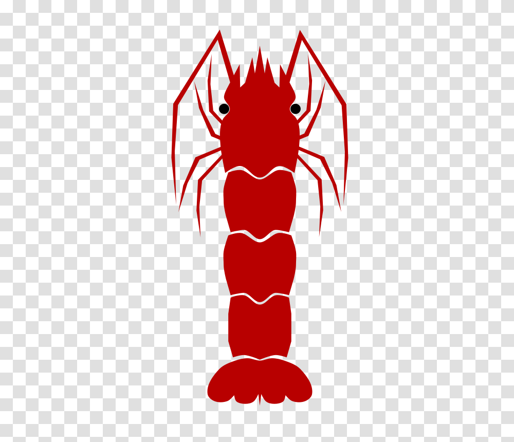 Animals, Crawdad, Seafood, Sea Life Transparent Png