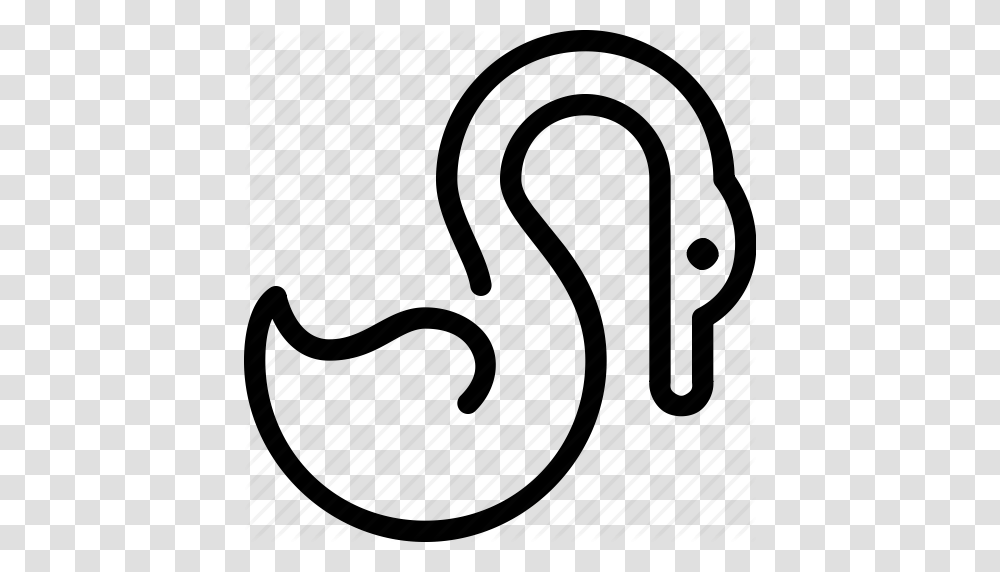 Animals Curl Neck Pets Swan Wing Wings Icon, Piano, Electronics, Food Transparent Png