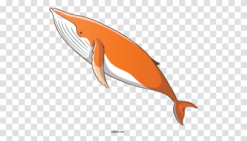 Animals Dolphin Cetacea Fin For Whale Whale Clipart, Mammal, Sea Life, Knife, Blade Transparent Png