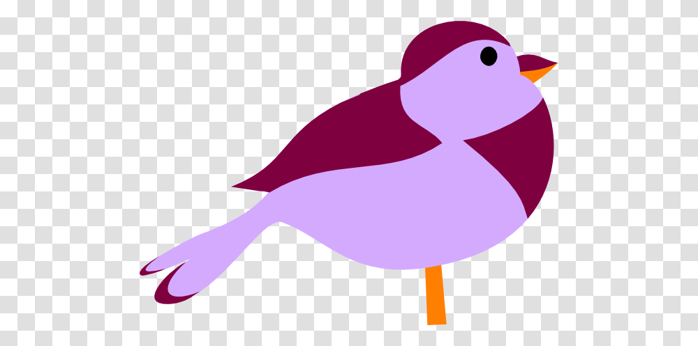 Animals, Duck, Bird, Waterfowl Transparent Png