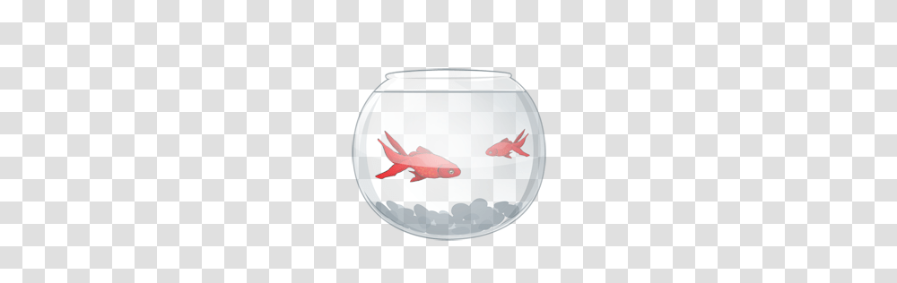 Animals, Fish, Water, Goldfish, Aquarium Transparent Png