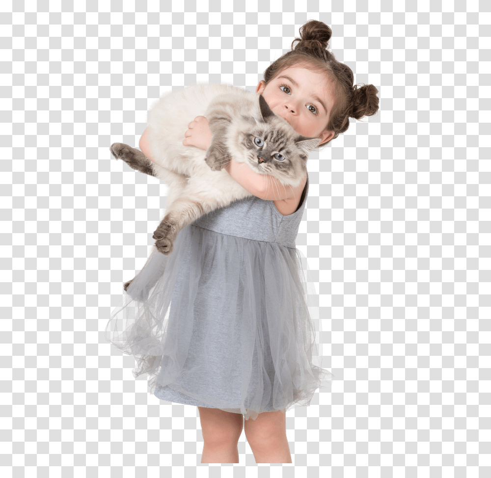 Animals Girl, Kitten, Cat, Pet, Mammal Transparent Png