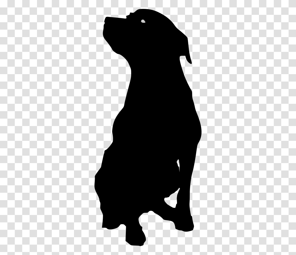 Animals, Gray, World Of Warcraft Transparent Png