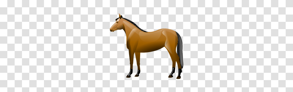 Animals, Horse, Mammal, Colt Horse, Foal Transparent Png