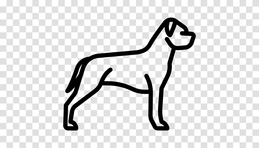 Animals Icon, Stencil, Label, Bow Transparent Png