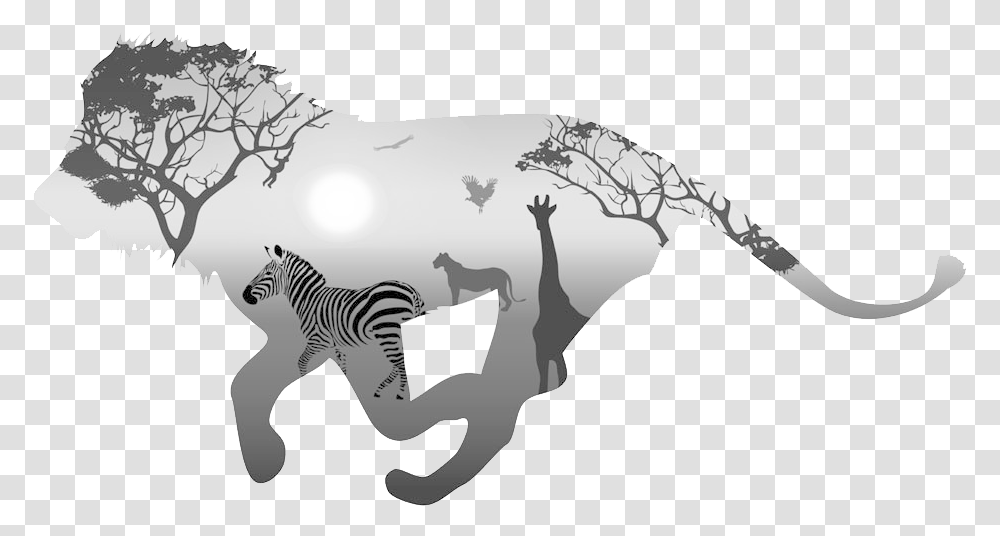 Animals Lion King Of The Animals Canvas Painting Wall Painting Black And White Animals, Mammal, Zebra, Wildlife, Hand Transparent Png