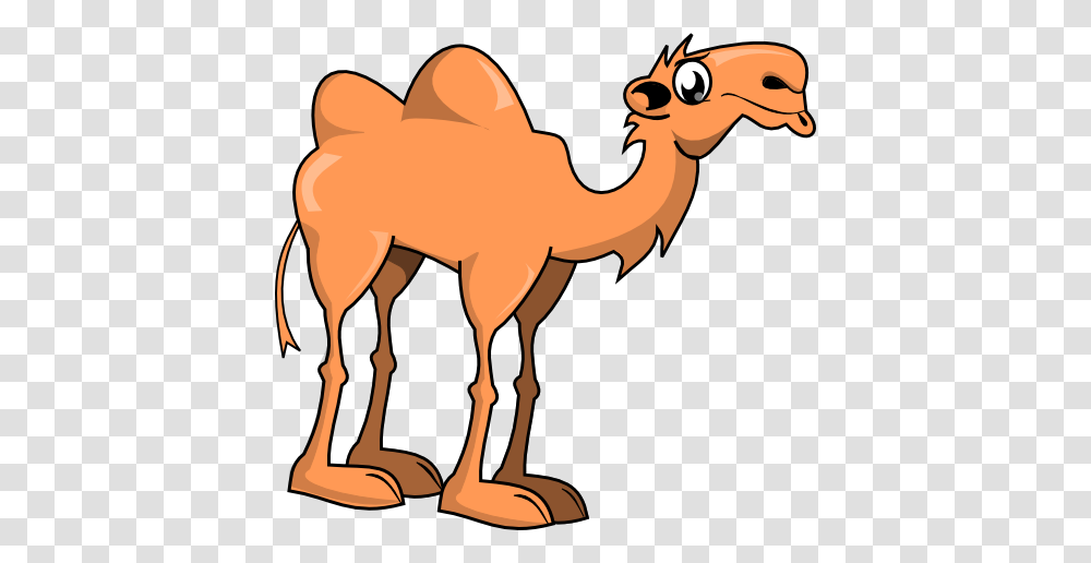 Animals, Mammal, Camel Transparent Png