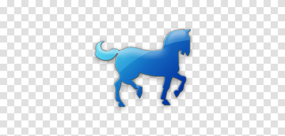 Animals, Mammal, Donkey, Wildlife, Horse Transparent Png