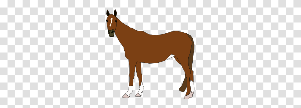 Animals, Mammal, Horse, Person, Human Transparent Png