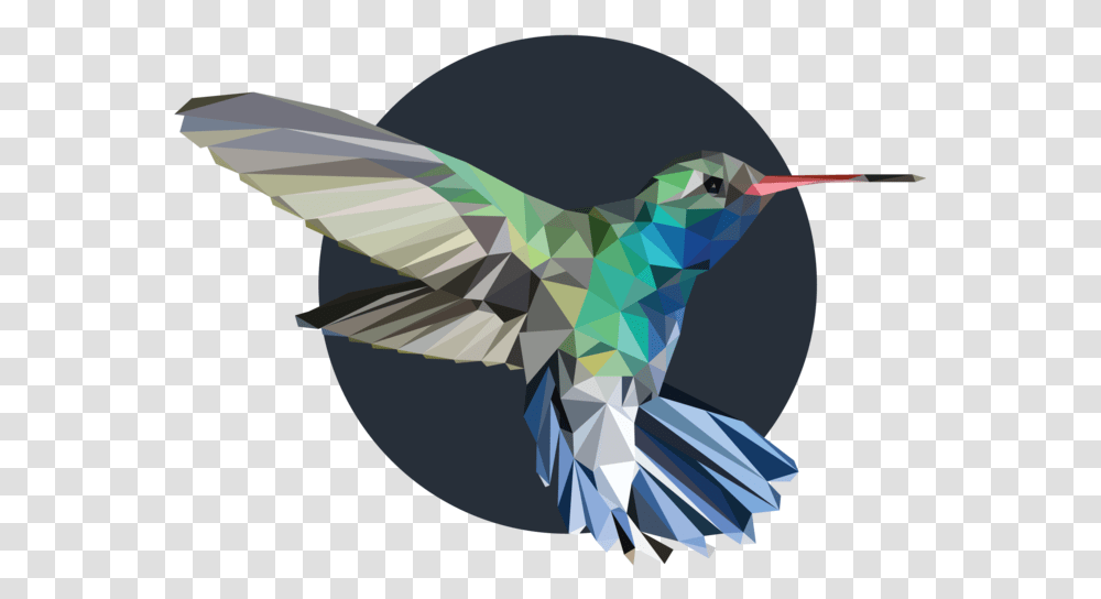 Animals Nick Carmer Hummingbird, Jay, Graphics, Art, Flying Transparent Png