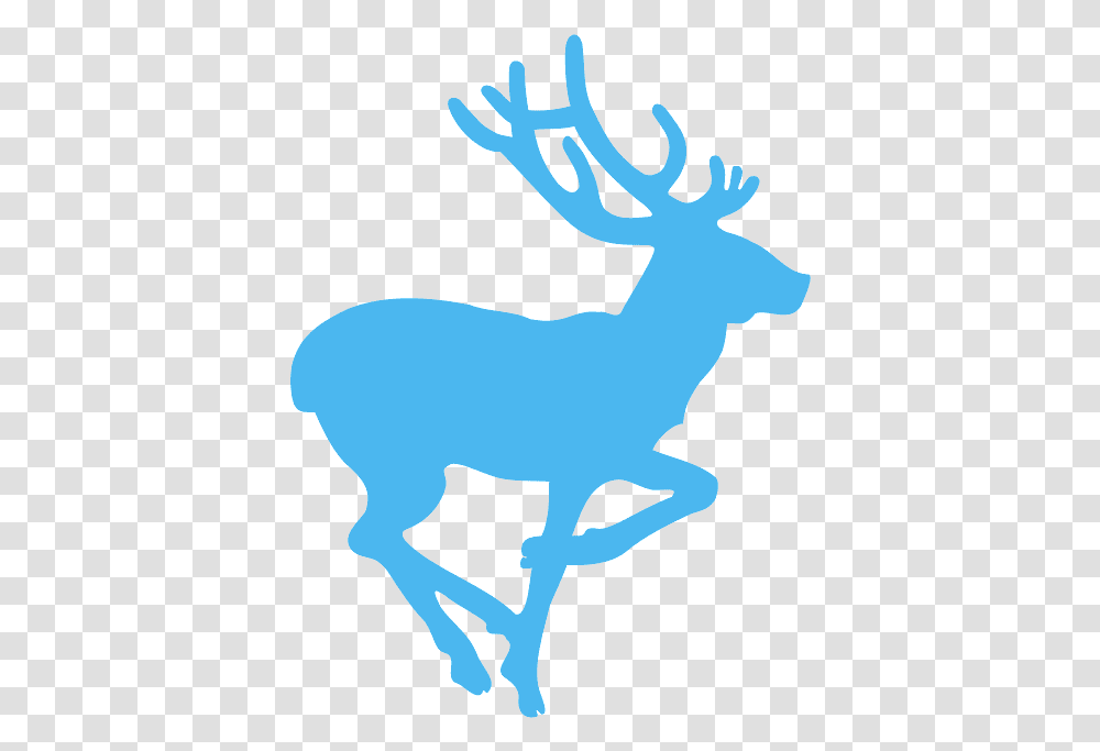 Animals On The Road Sign, Elk, Deer, Wildlife, Mammal Transparent Png