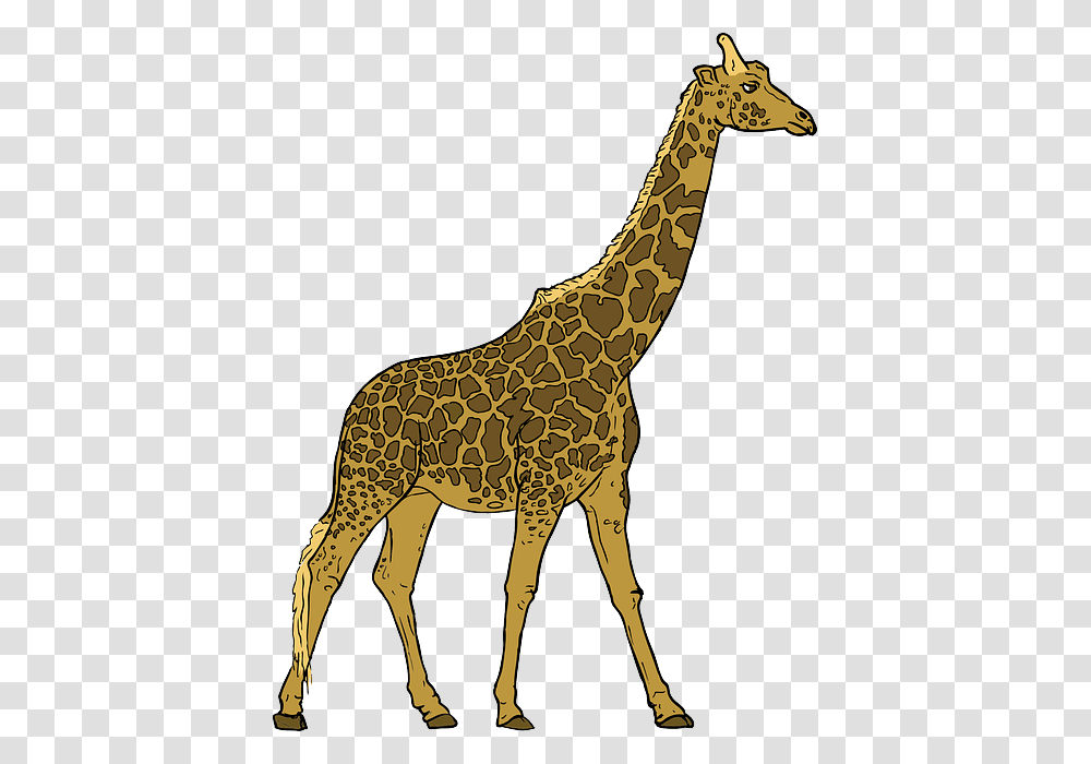 Animals Outline Drawing Cartoon Giraffe Mammal Walking Giraffe Clipart, Wildlife Transparent Png