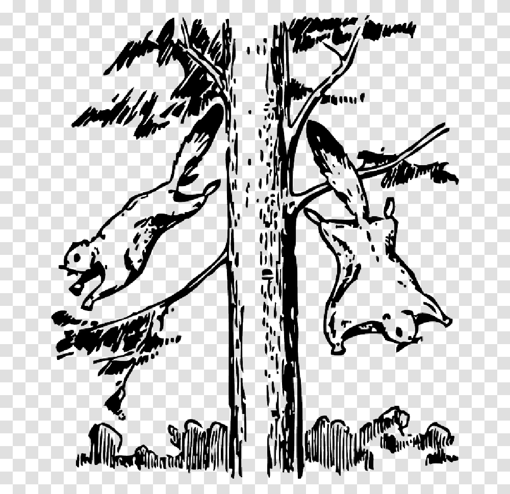 Animals Outline Tree Cartoon Flying Squirrel Flying Squirrel Clipart Black And White, Plant, Stencil, Poster Transparent Png