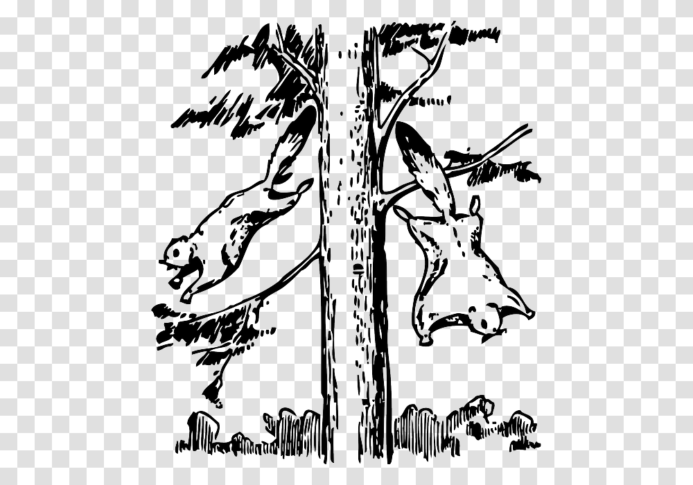Animals Outline Tree Cartoon Flying Squirrel Flying Squirrels To Draw, Plant, Stencil, Bird Transparent Png