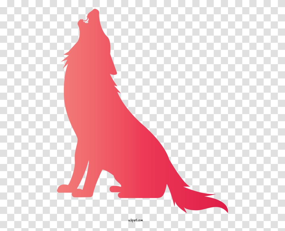 Animals Red California Sea Lion Tail For Wolf Wolf Clipart Lion, Mammal, Kangaroo, Wallaby, Wildlife Transparent Png