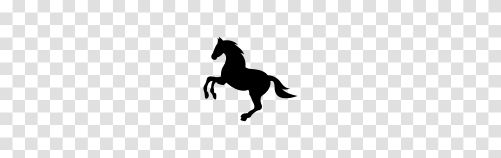 Animals, Silhouette, Horse, Mammal, Dog Transparent Png