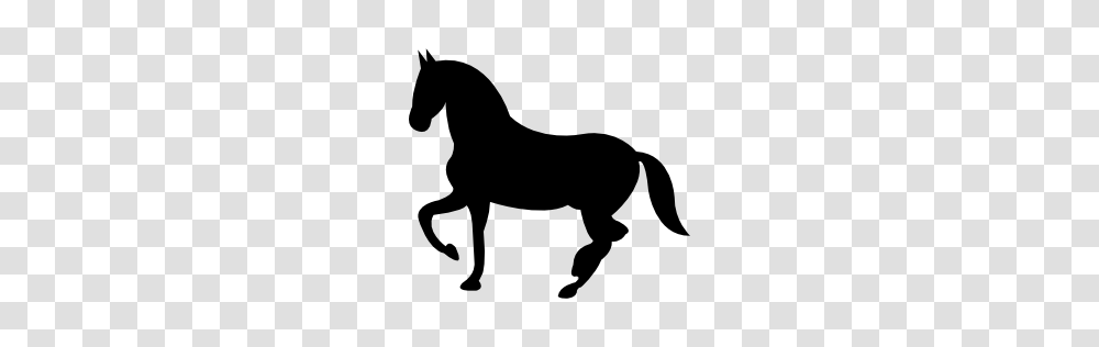 Animals, Silhouette, Horse, Mammal, Stencil Transparent Png