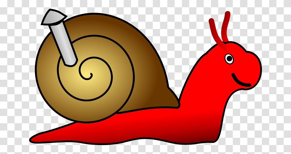 Animals, Snail, Invertebrate, Lamp Transparent Png