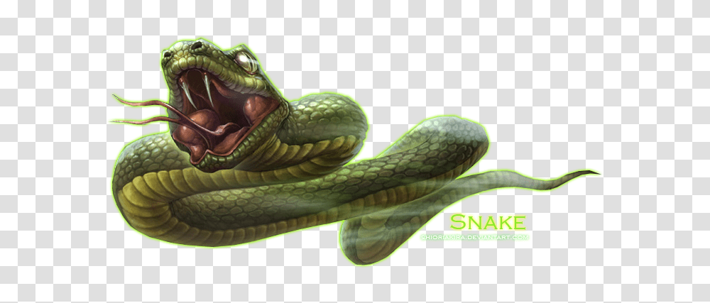 Animals, Snake, Reptile, Green Snake Transparent Png