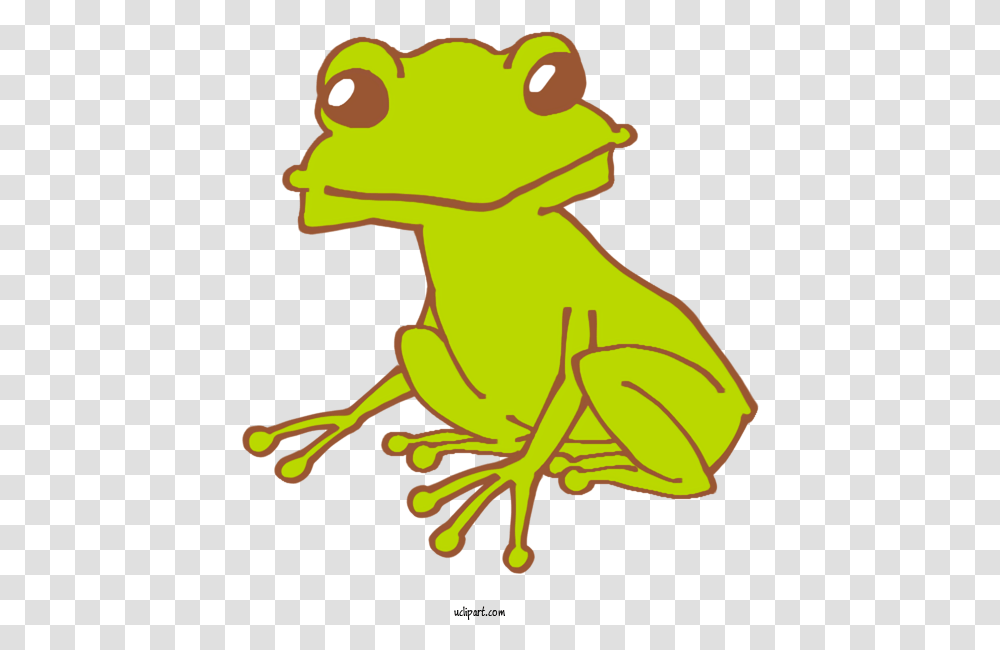 Animals Toad Frogs For Frog Frog Clipart Animals Clip Art Pond Frogs, Amphibian, Wildlife, Reptile, Dog Transparent Png