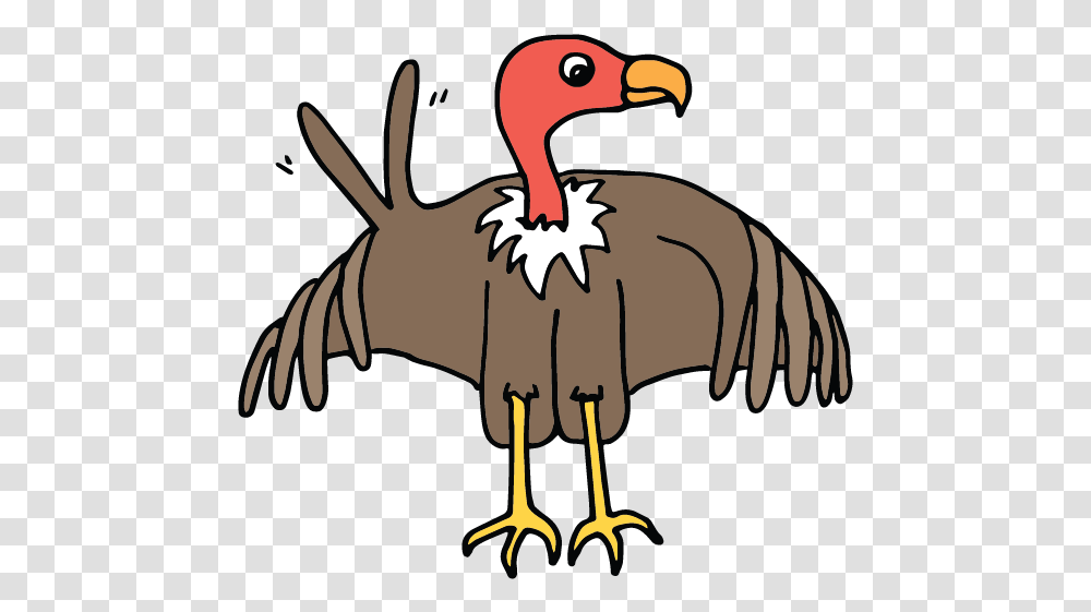 Animals V Turkey, Bird, Vulture, Dodo, Beak Transparent Png
