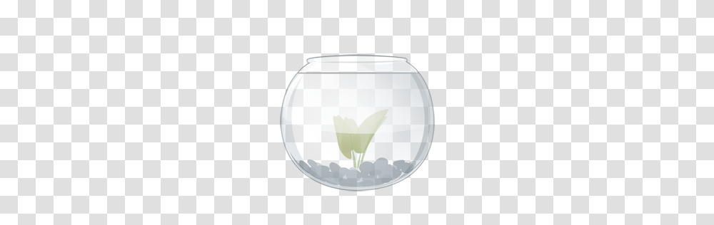 Animals, Water, Lamp, Glass, Aquarium Transparent Png