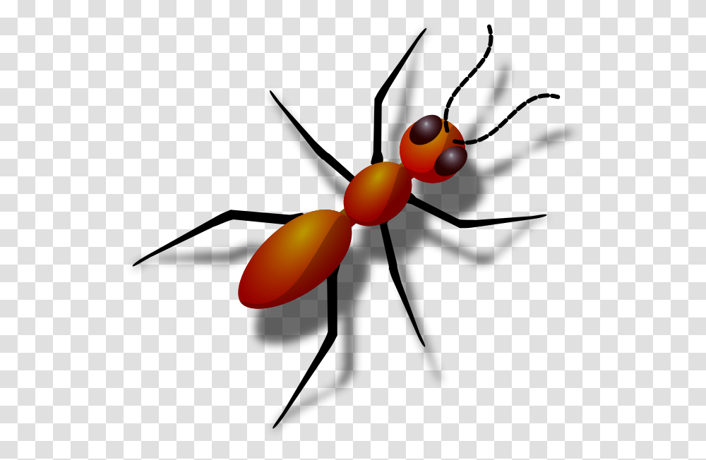 Animals With 6 Legs Clipart 6 Legs Animals, Invertebrate, Ant, Insect, Balloon Transparent Png