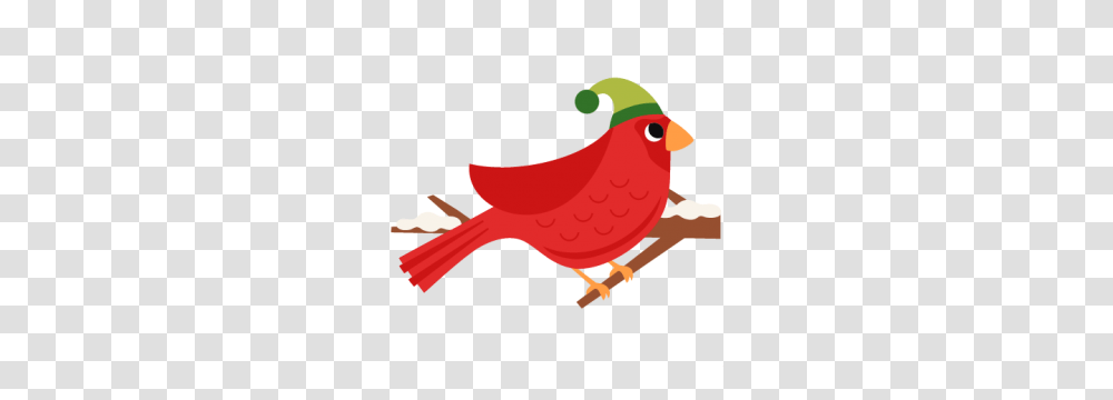 Animalspets, Cardinal, Bird, Finch Transparent Png