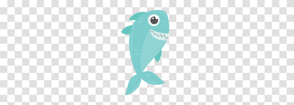 Animalspets, Sea Life, Mammal, Dolphin, Beluga Whale Transparent Png