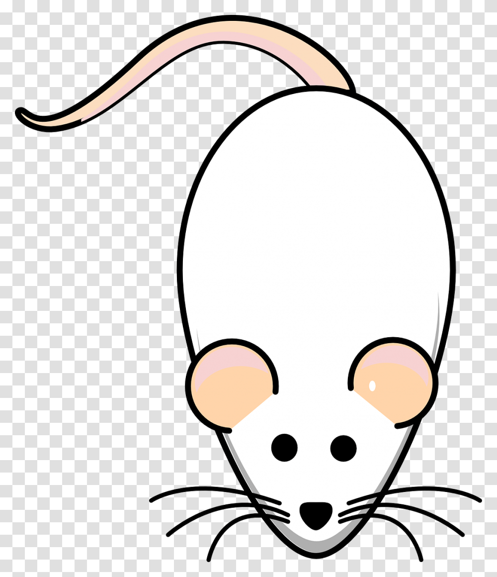 Animasi Tikus Putih, Lamp, Doodle, Drawing Transparent Png