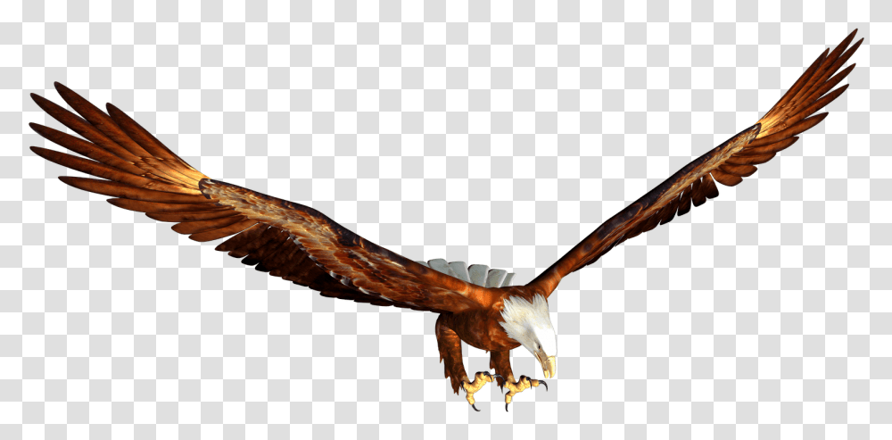 Animated Bald Eagle Hunting Image Animated Eagle Flying, Bird, Animal, Vulture, Kite Bird Transparent Png
