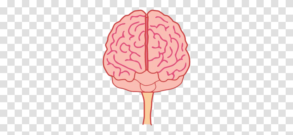 Animated Brain Free Brain Front View, Lollipop, Candy, Food, Birthday Cake Transparent Png