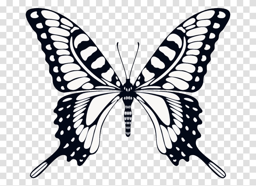 Animated Butterfly Image Arts Butterfly Flying Animation, Pattern, Graphics, Stencil, Floral Design Transparent Png